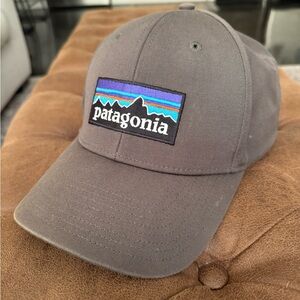 Patagonia Gray SnapBack
